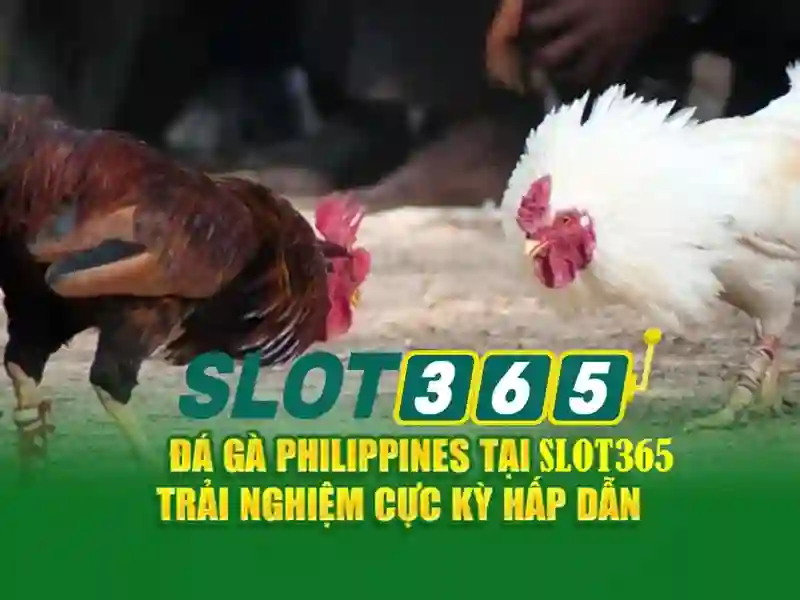 Khuyến mãi, thanh toán và sự an toàn