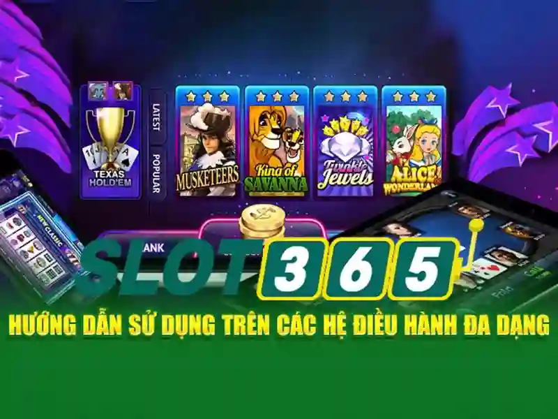 Hỗ trợ khách hàng và trải nghiệm người dùng