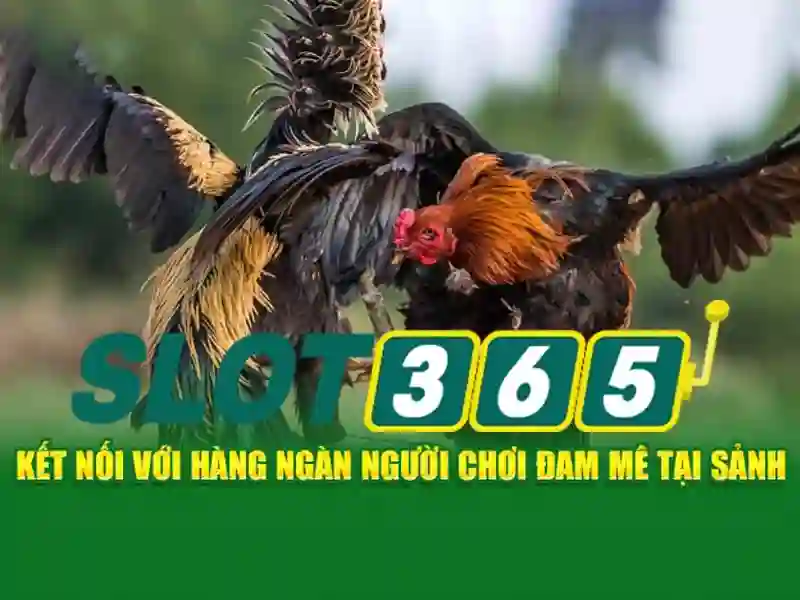 Endrick Rời Real Madrid – Câu Chuyện Phía Sau Quyết Định