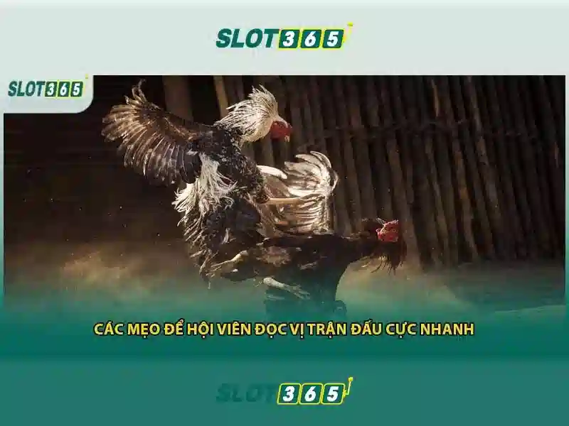 Trải nghiệm Slot365 ios và các trò chơi hấp dẫn