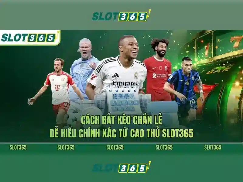 Hỗ trợ khách hàng