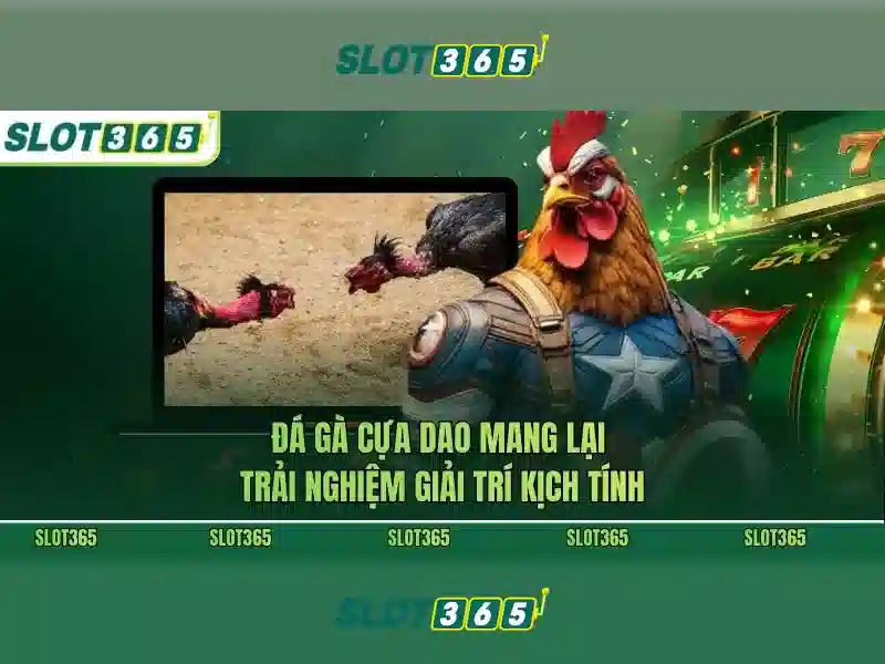 Slot365 là gì và tại sao nó được yêu thích
