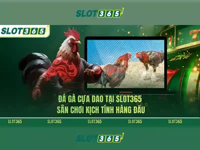 Trải nghiệm người dùng tại Slot365