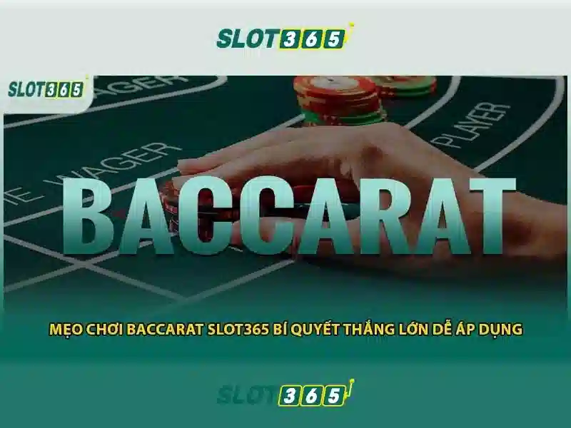 Slot365: Đánh giá và Hướng dẫn chơi an toàn