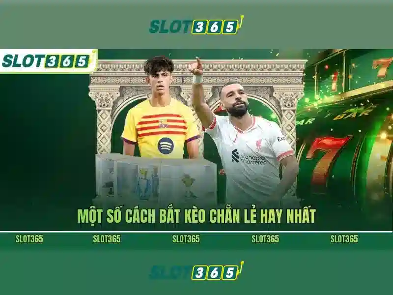Slot365: Nền tảng casino trực tuyến uy tín