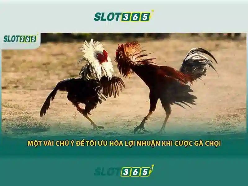 Slot365 - Nền tảng slot trực tuyến hiện đại
