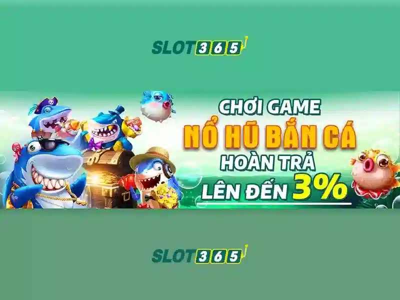 Trải nghiệm người dùng và thiết kế