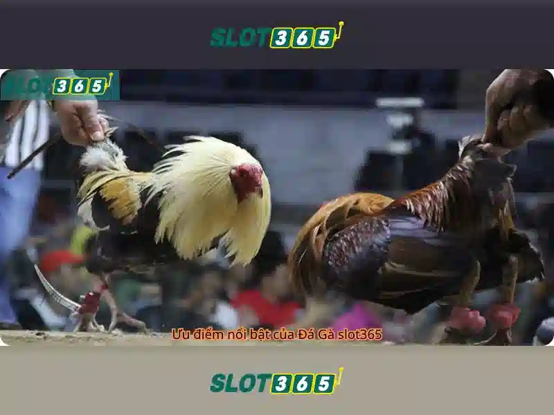 Cách tham gia và an toàn thanh toán