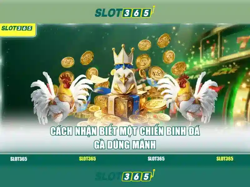 Giới thiệu về Slot365