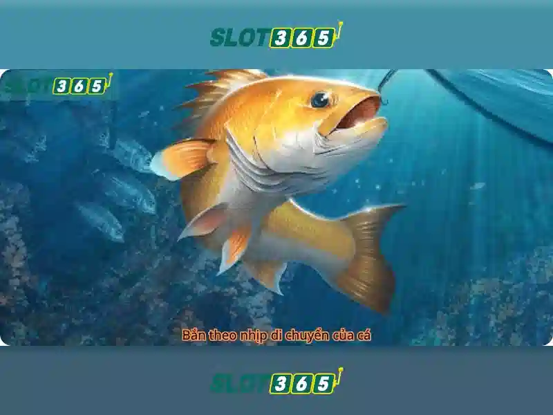 Slot365 - Nền tảng slot trực tuyến uy tín