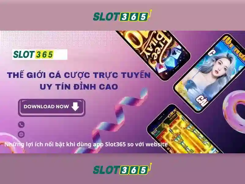 Slot365 – Nền tảng cá cược trực tuyến