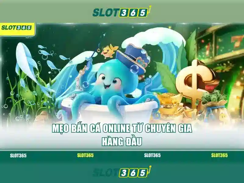 Slot365: Đánh giá và trải nghiệm chơi slots trực tuyến
