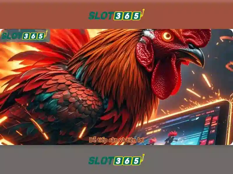 Slot365: Nền tảng xèng trực tuyến đáng tin cậy