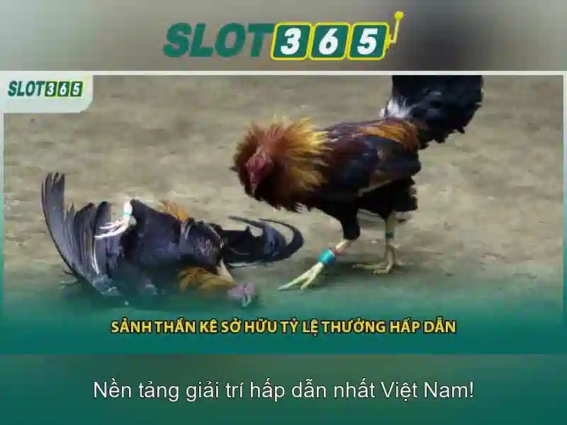 Slot365 - Tổng quan và trải nghiệm chơi