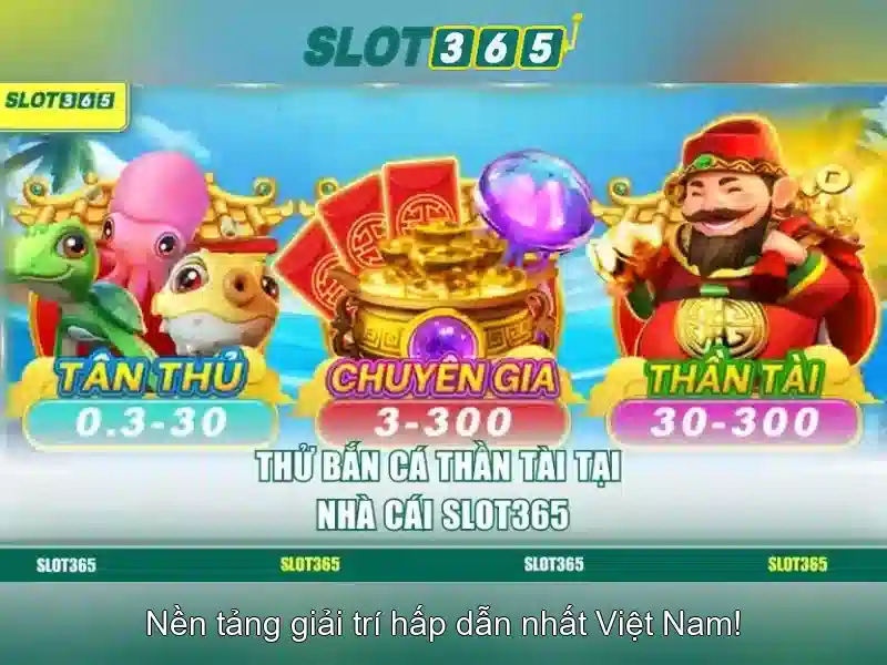 Slot365 - Nền tảng cược trực tuyến uy tín