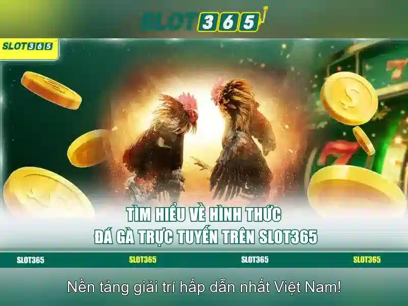 Giao diện và trải nghiệm người dùng