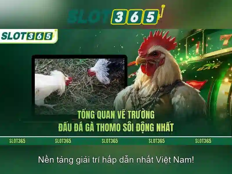 Slot365: Khám phá slot trực tuyến hàng đầu
