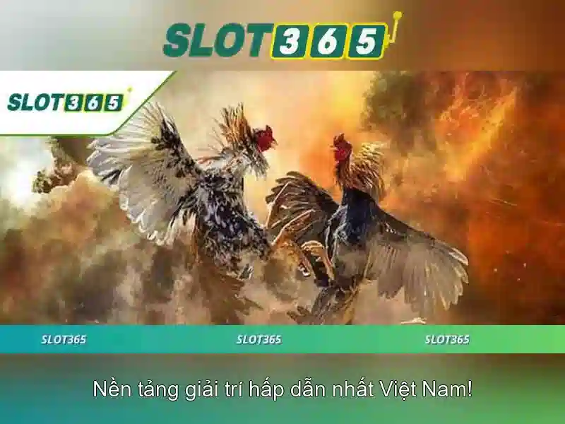 Hệ thống bảo mật và hỗ trợ khách hàng tại slot365