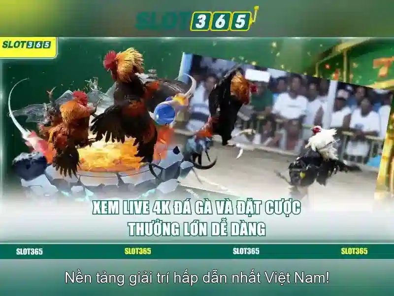Khuyến mãi và thưởng