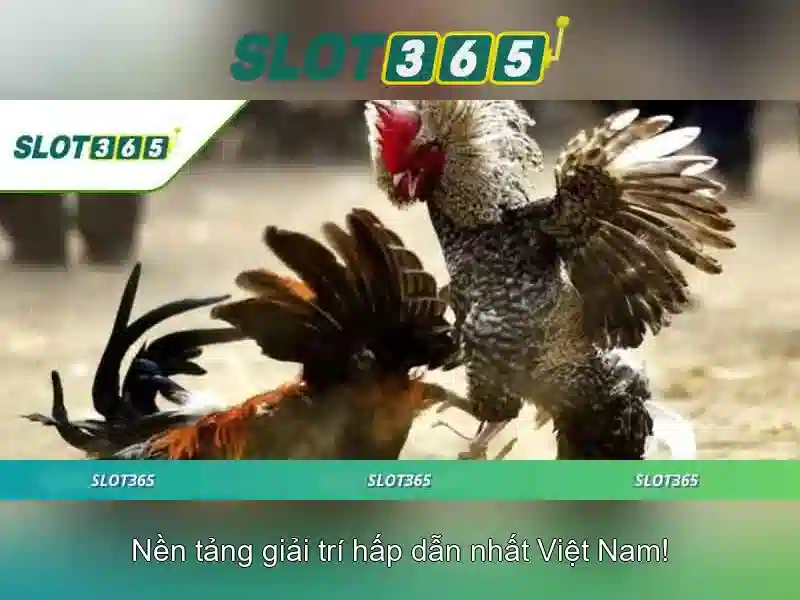 Slot365: Đánh giá nền tảng casino trực tuyến uy tín và hấp dẫn