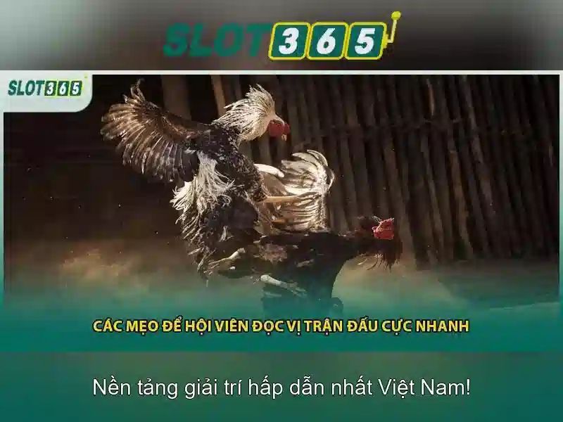 Trò chơi và danh mục