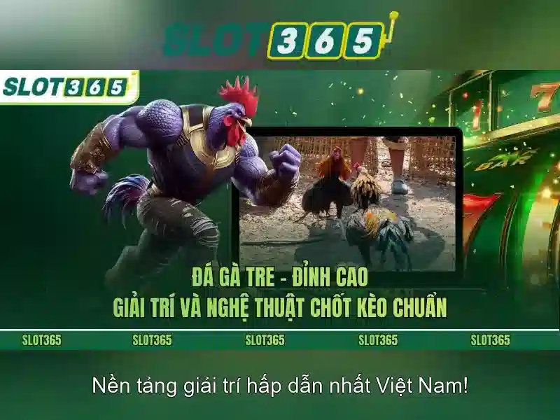 Tong quan quy trinh rut tien tai Slot365 an toan va nhanh chong