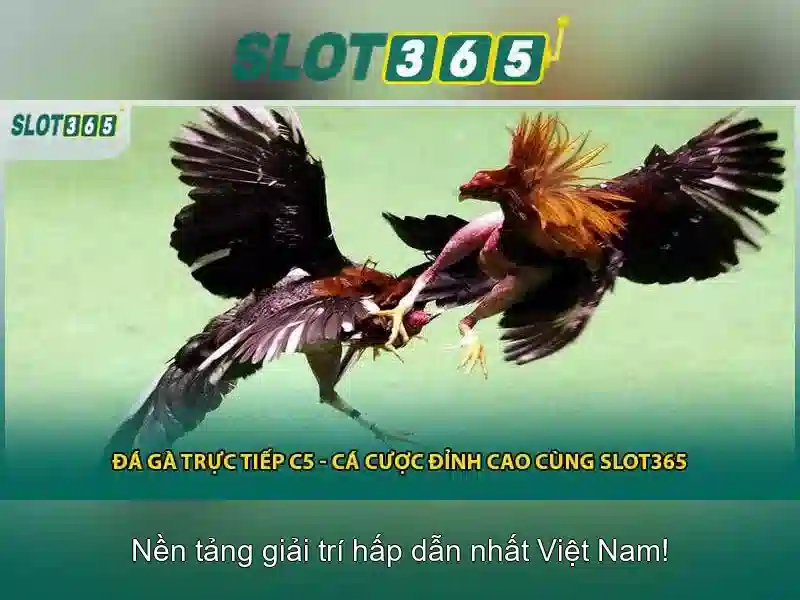 Kết luận
