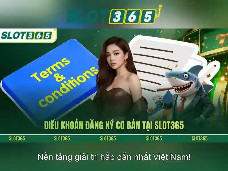 Giao diện và trải nghiệm người dùng