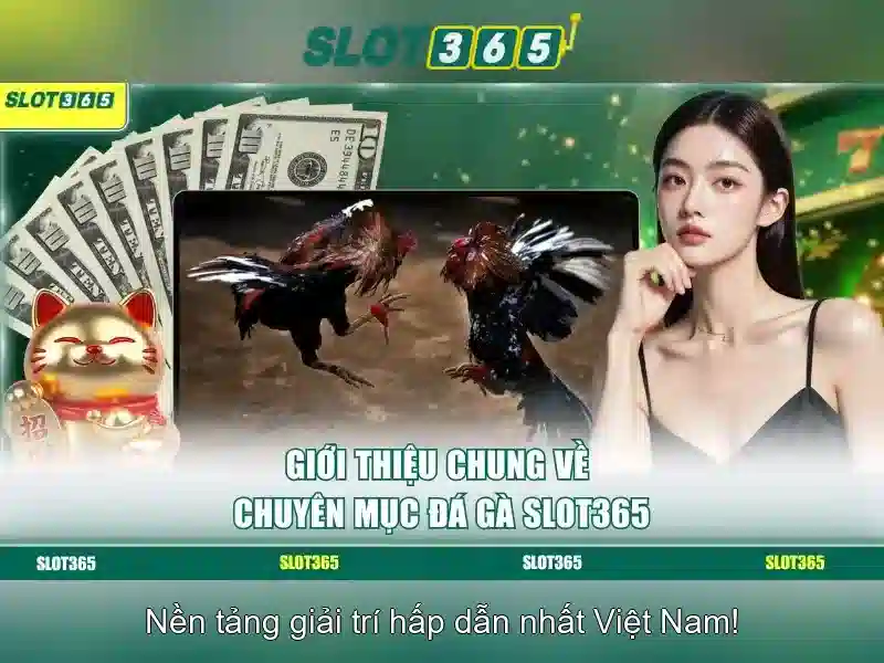 Slot365: Đánh giá và Trải nghiệm Slot Trực Tuyến
