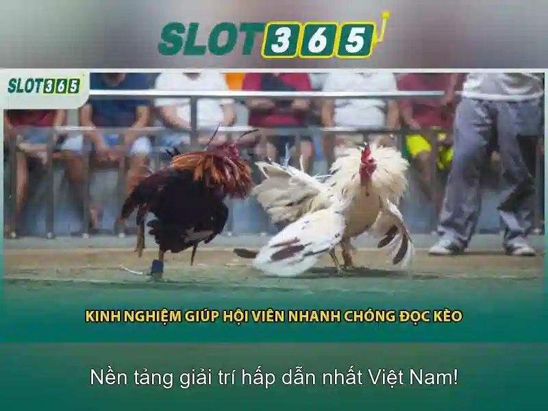 Endrick Rời Real Madrid – Câu Chuyện Phía Sau Quyết Định