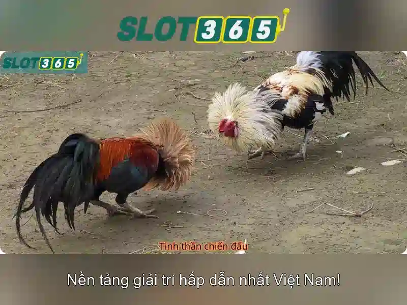 Trò chơi khe đa dạng và chất lượng