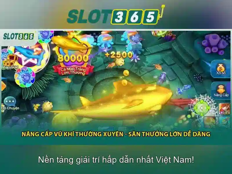 Slot365 là gì?