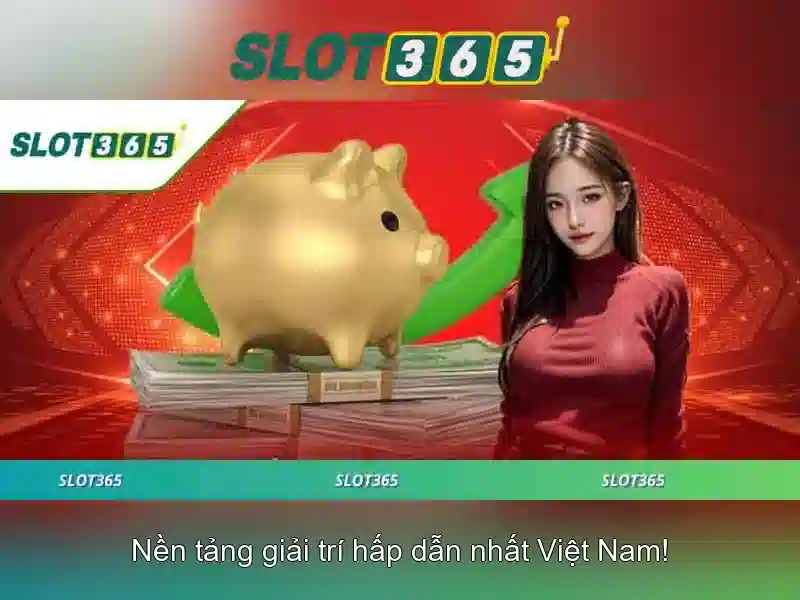Tính năng người dùng