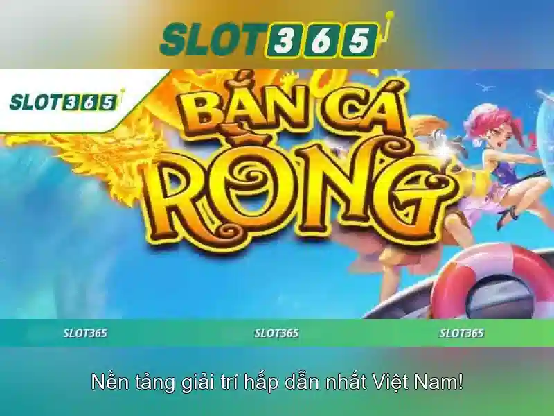 Kết luận