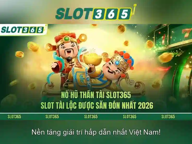 Trải nghiệm người dùng và phản hồi cộng đồng