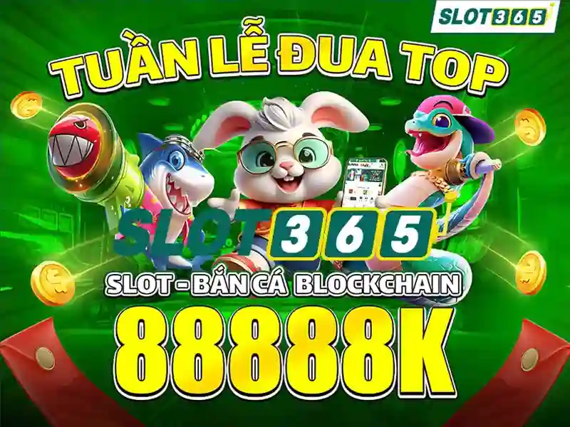 Giao diện và trải nghiệm người dùng