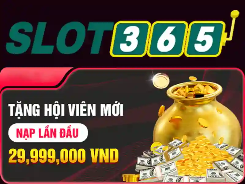 Giao diện và trải nghiệm người dùng